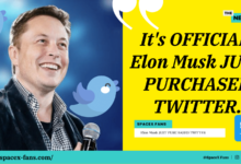 It's OFFICIAL: Elon Musk JUST PURCHASED TWITTER.